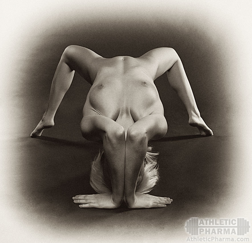 gallery_4913_2_104288.jpg