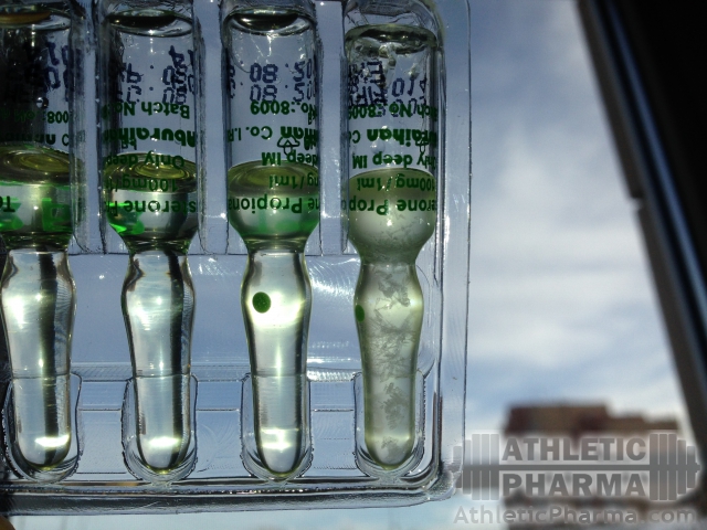 med_gallery_1572_2_107544.jpg